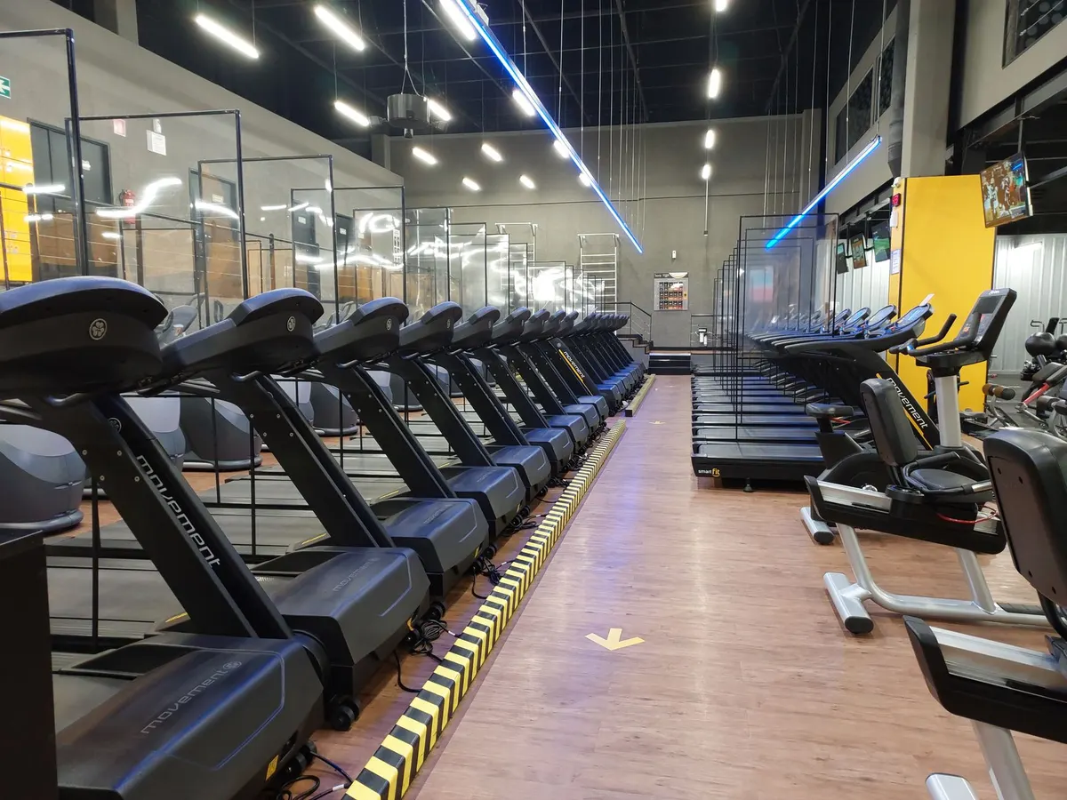 Fila de máquinas de cardio en el gimnasio
